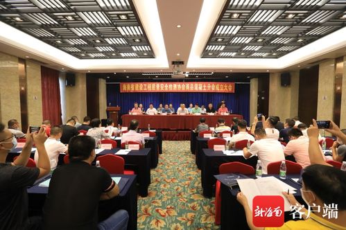 信息技術賦能，質量安全護航——記海南省建設工程質量安全檢測協會商品混凝土分會成立